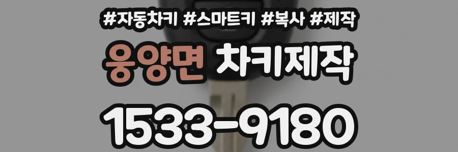 웅양면 차키제작
