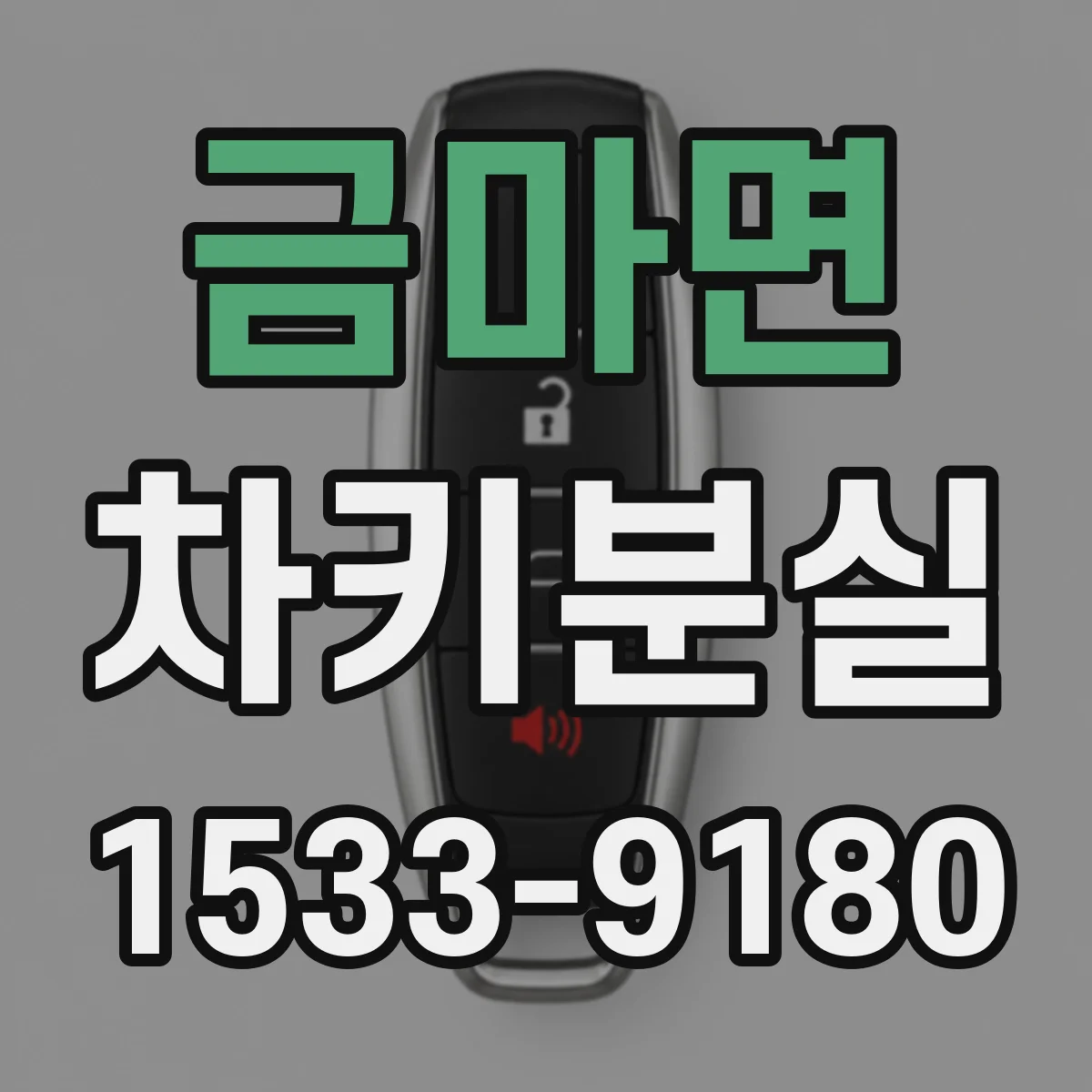 금마면 차키분실