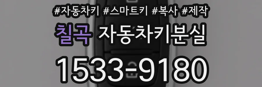 칠곡 자동차키분실