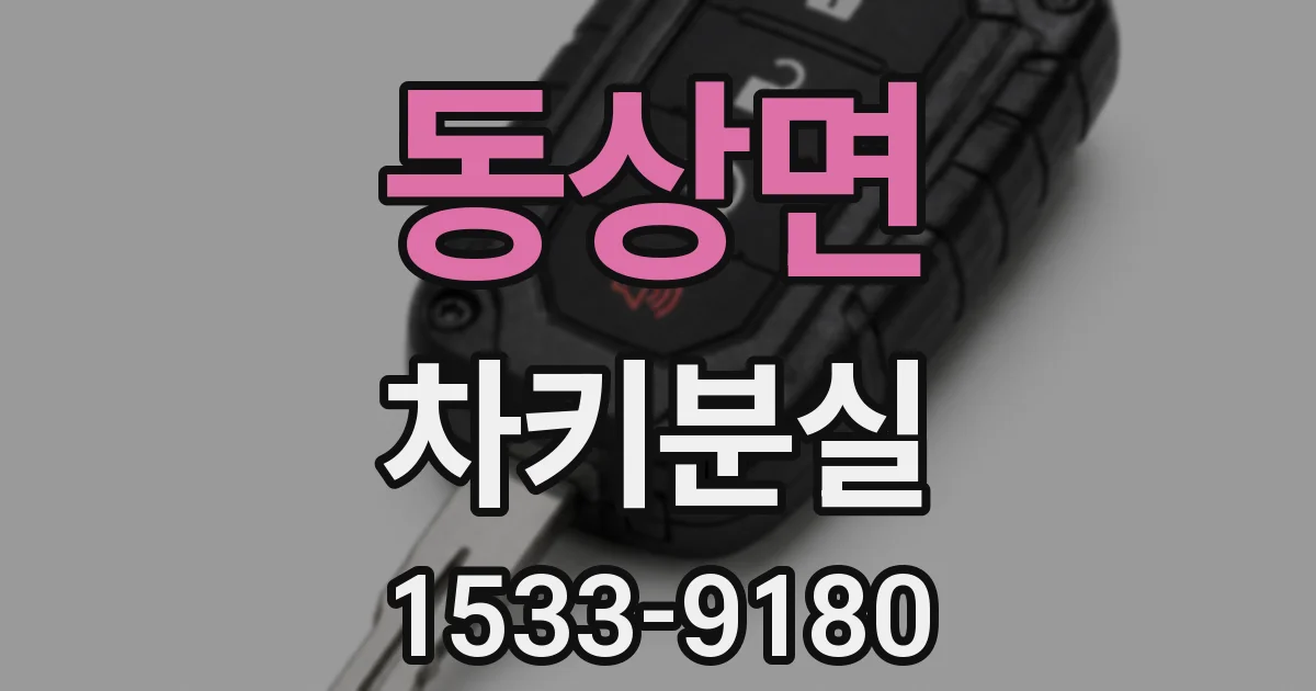 동상면 차키분실