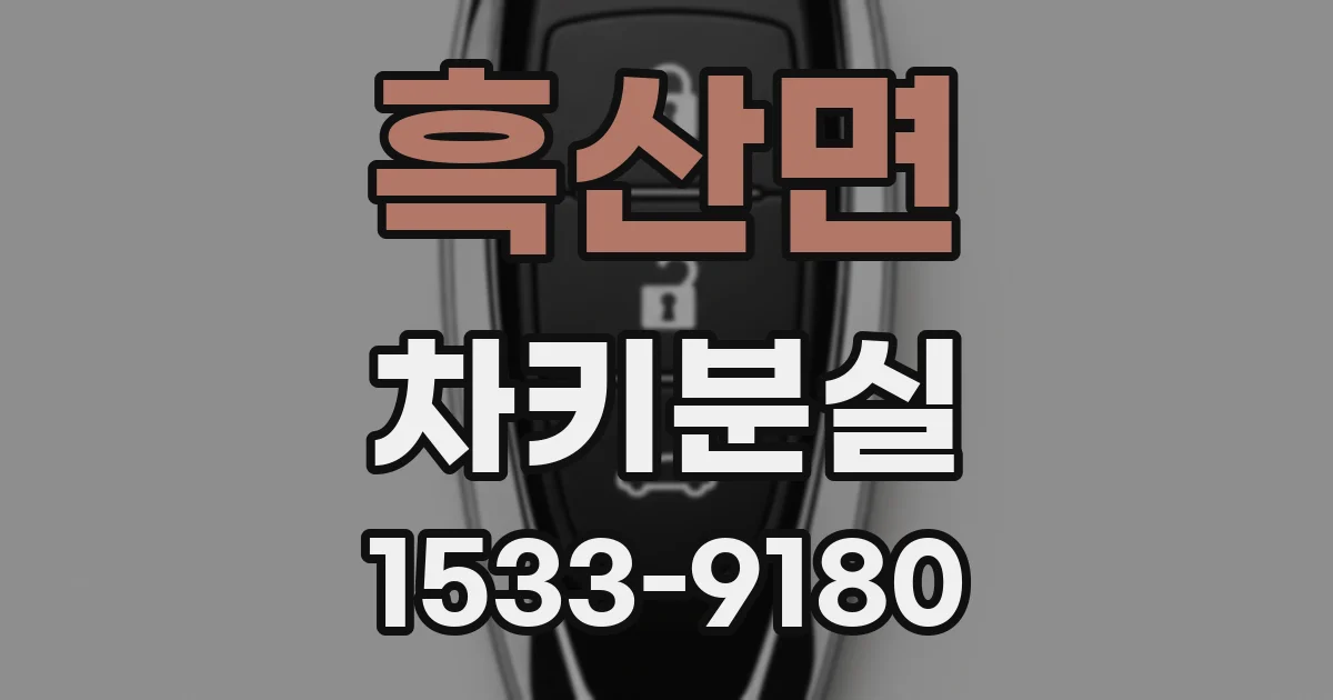 흑산면 차키분실