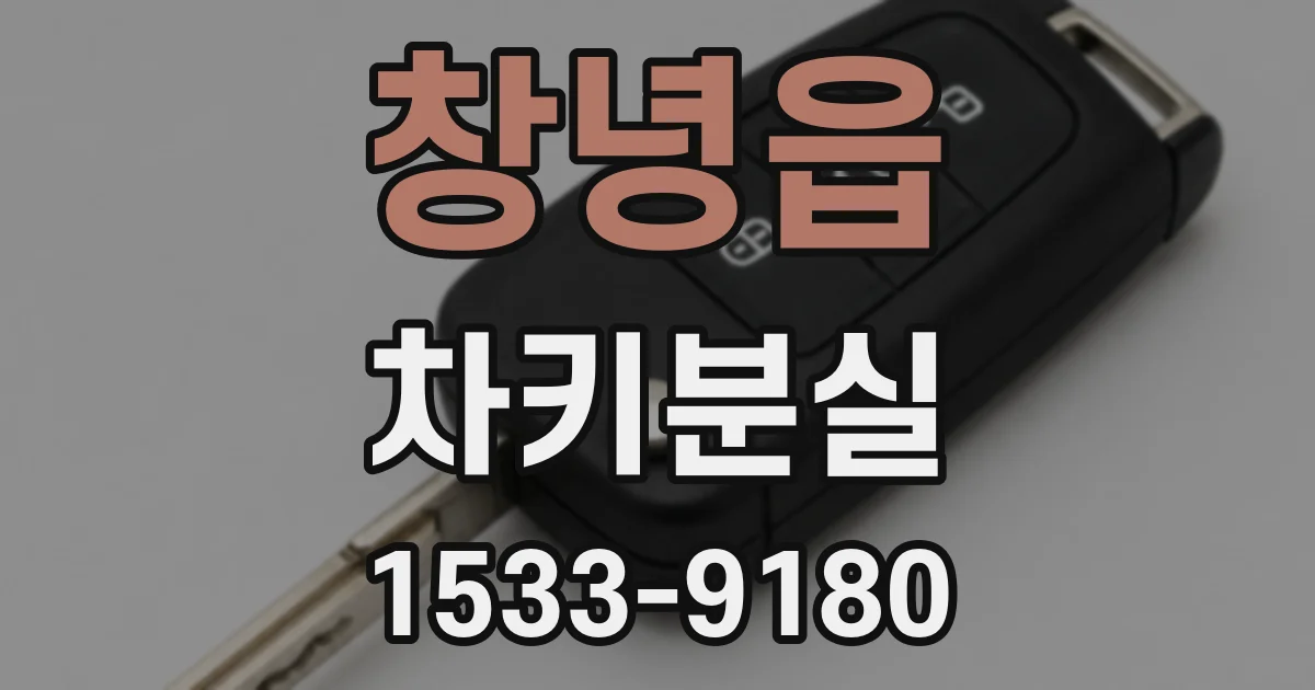 창녕읍 차키분실