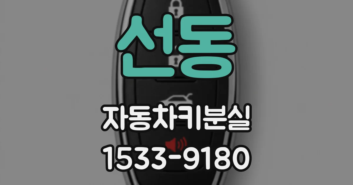 선동 자동차키분실