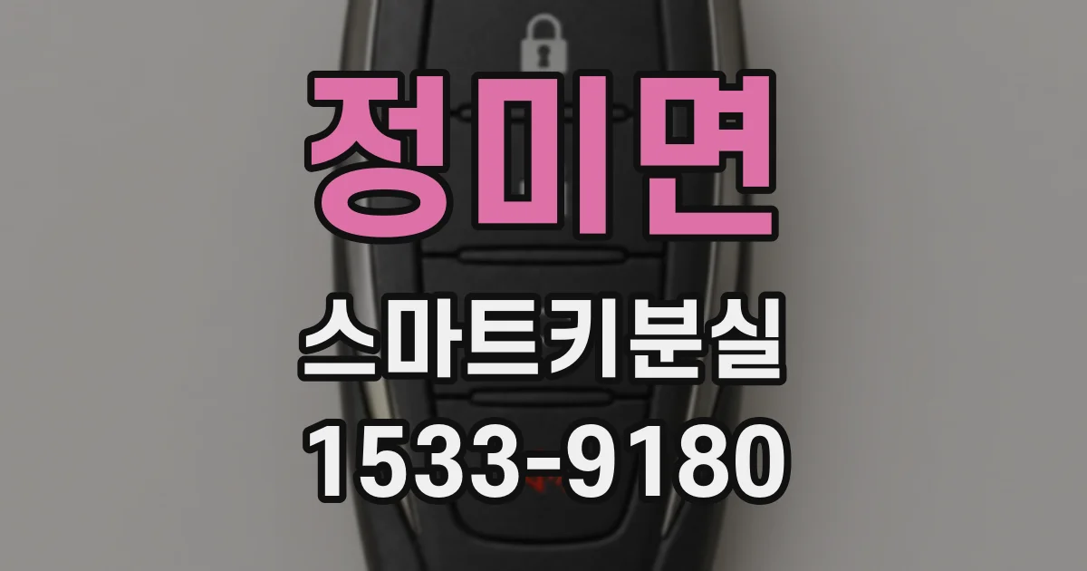 정미면 스마트키분실
