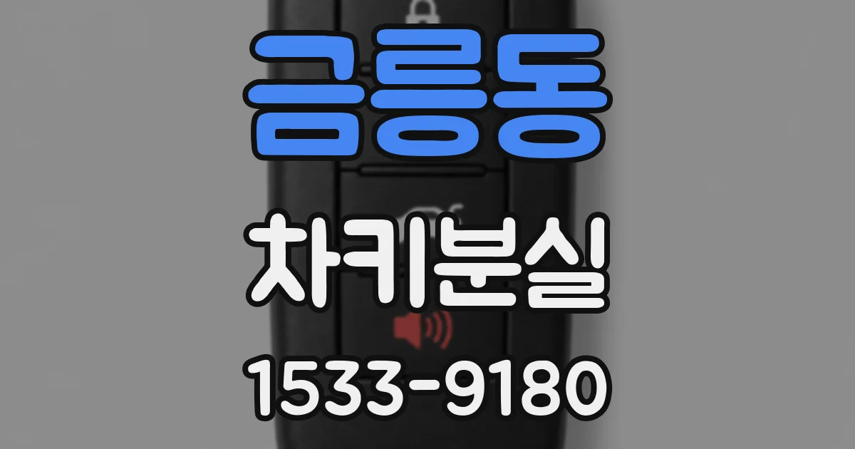 금릉동 차키분실