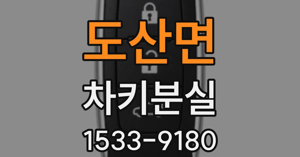 도산면 차키분실