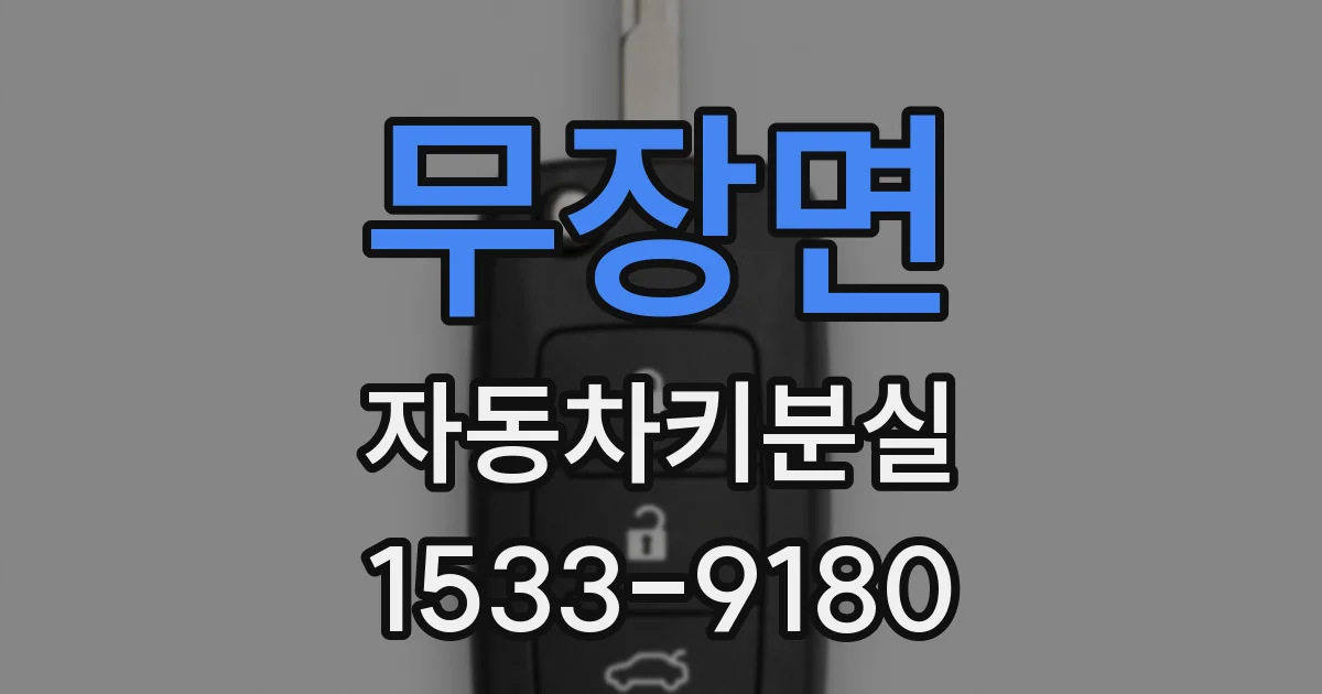 무장면 자동차키분실