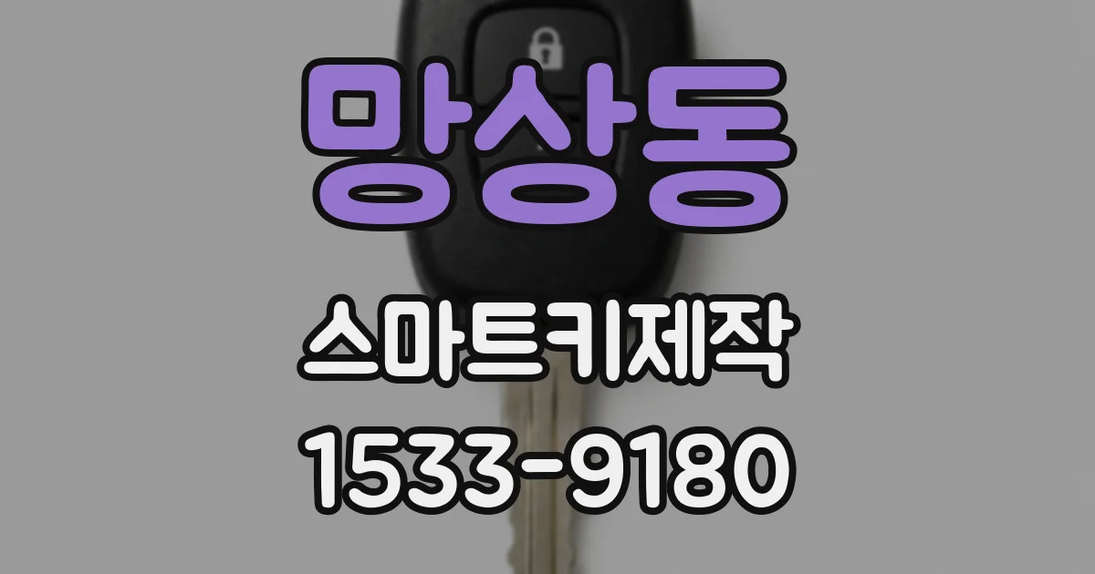 망상동 스마트키제작