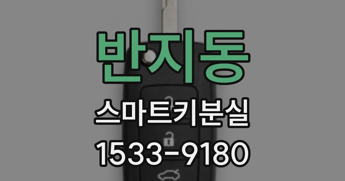반지동 스마트키분실