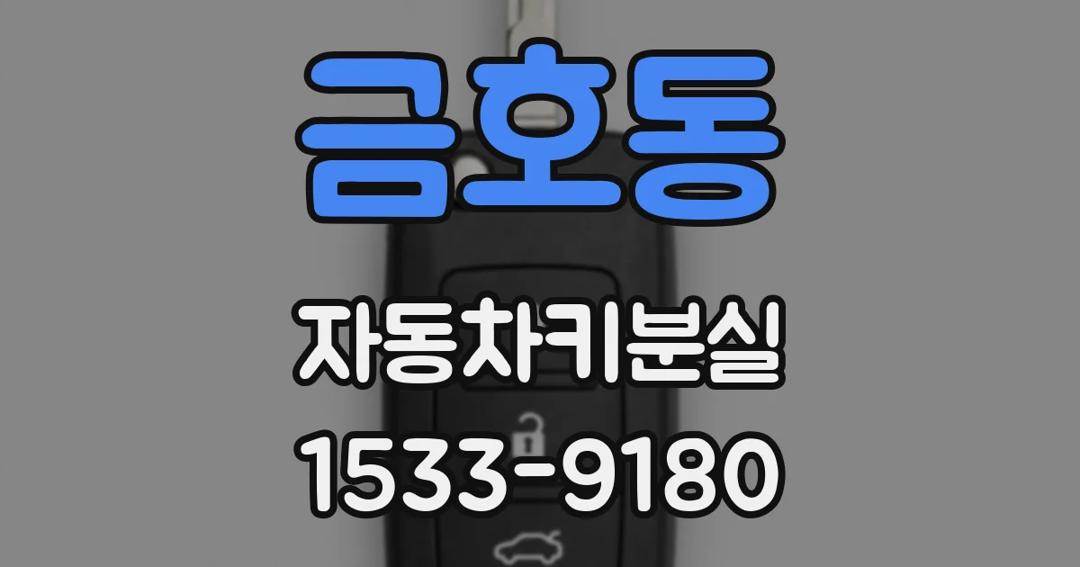금호동 자동차키분실