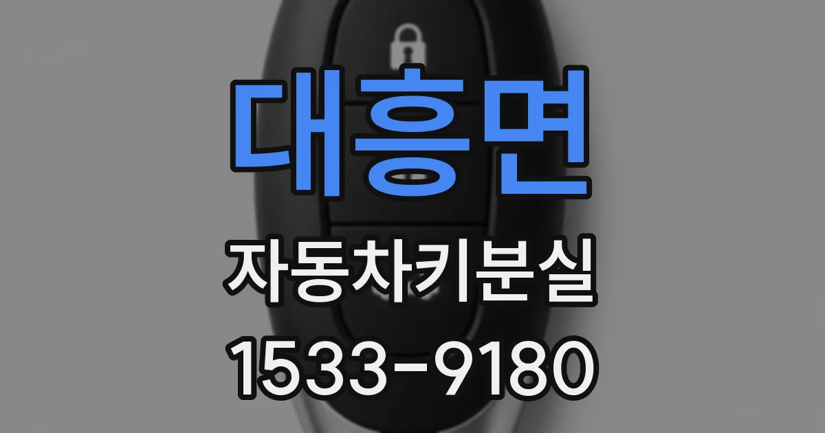 대흥면 자동차키분실
