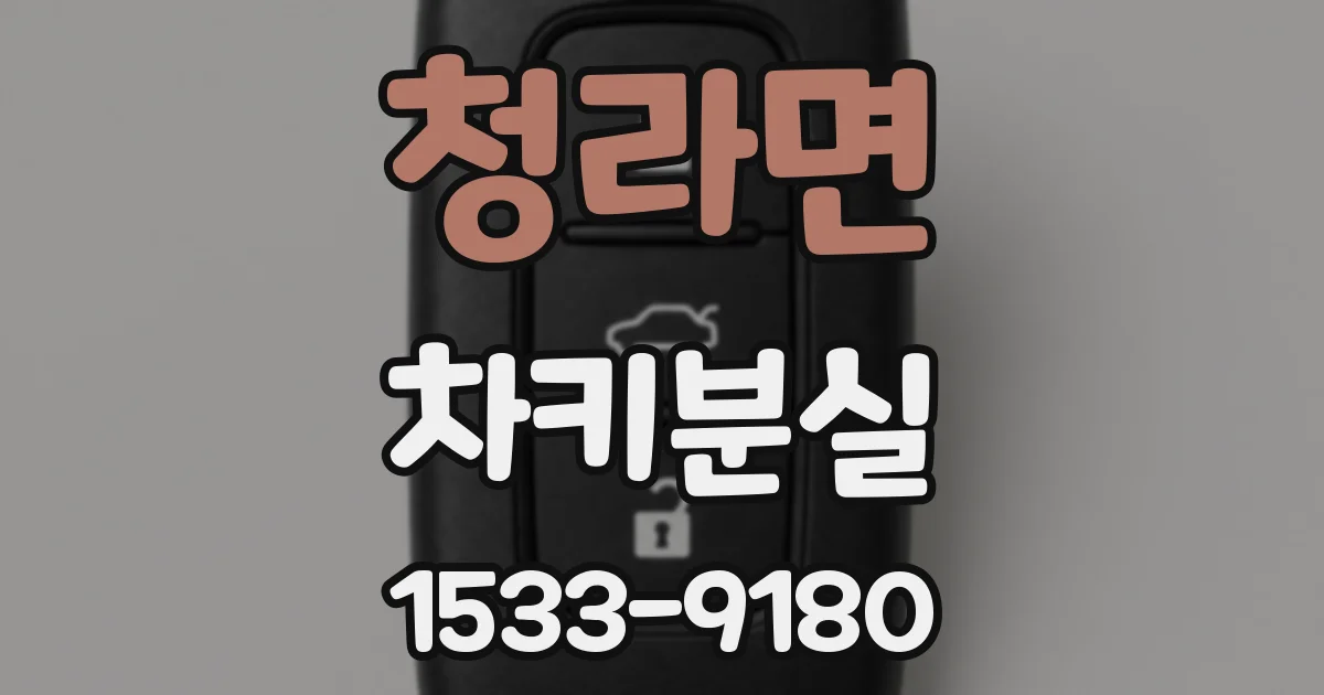 청라면 차키분실