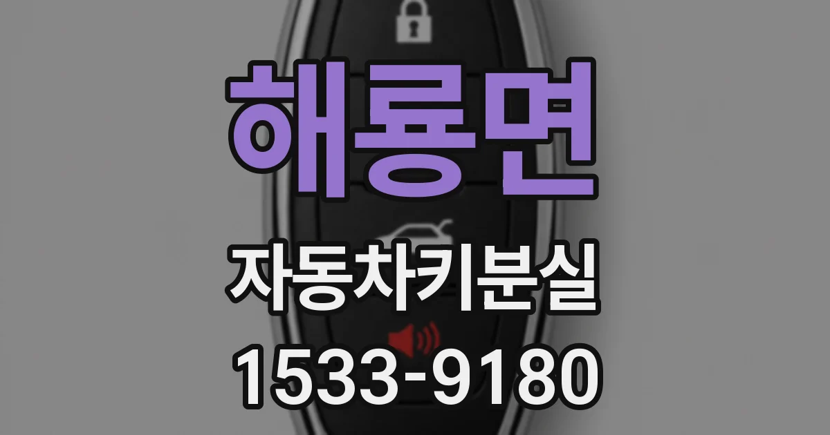 해룡면 자동차키분실