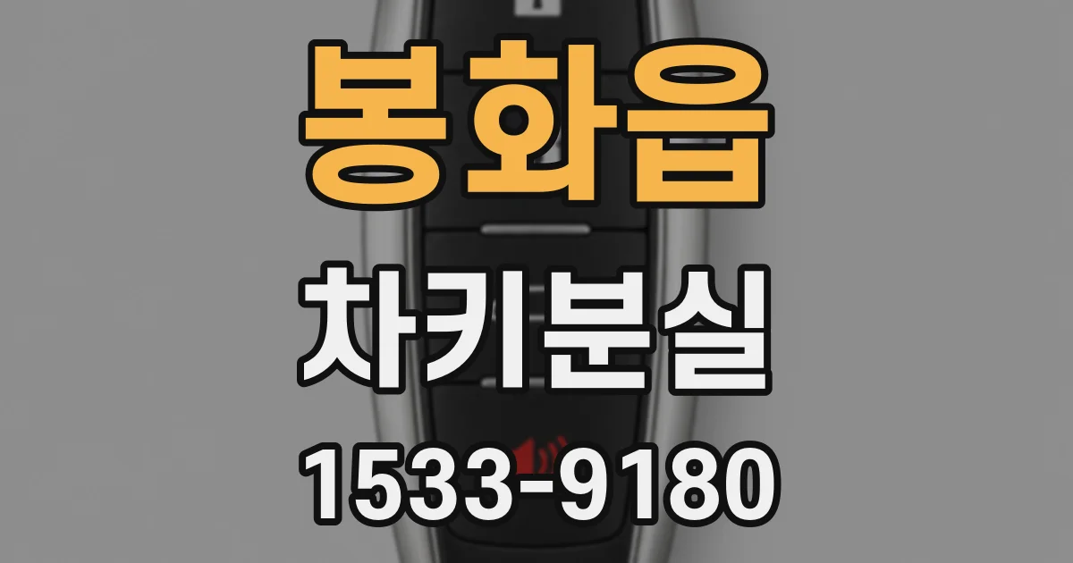 봉화읍 차키분실