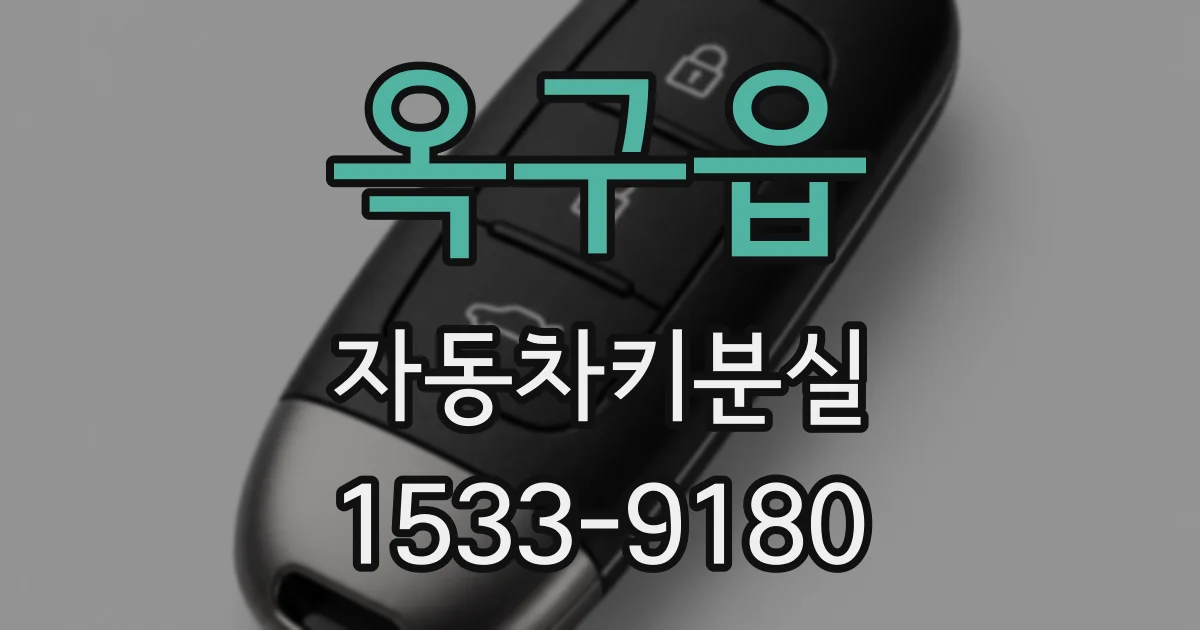 옥구읍 자동차키분실