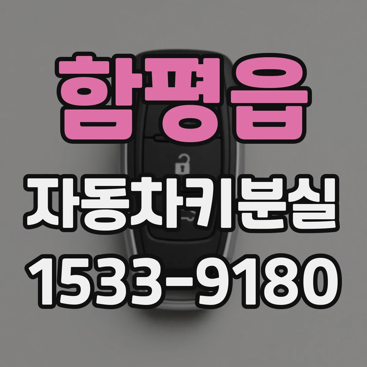 함평읍 자동차키분실