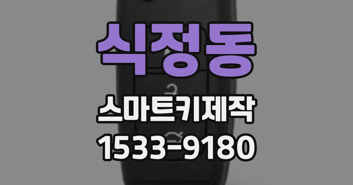 식정동 스마트키제작