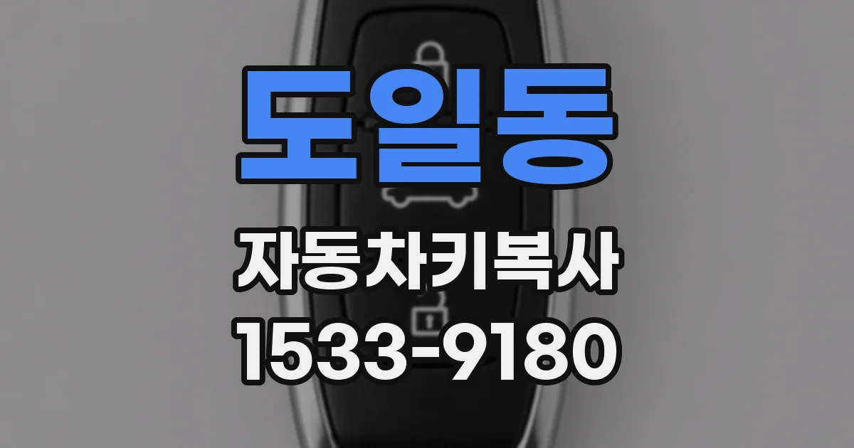 도일동 자동차키복사