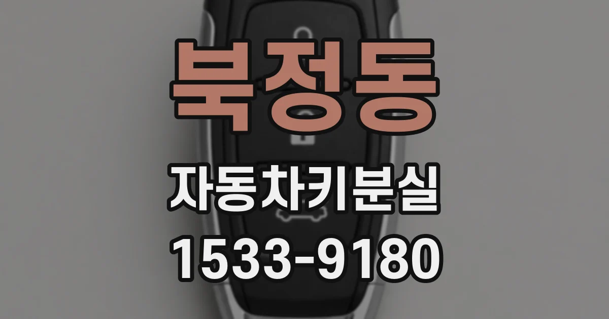 북정동 자동차키분실
