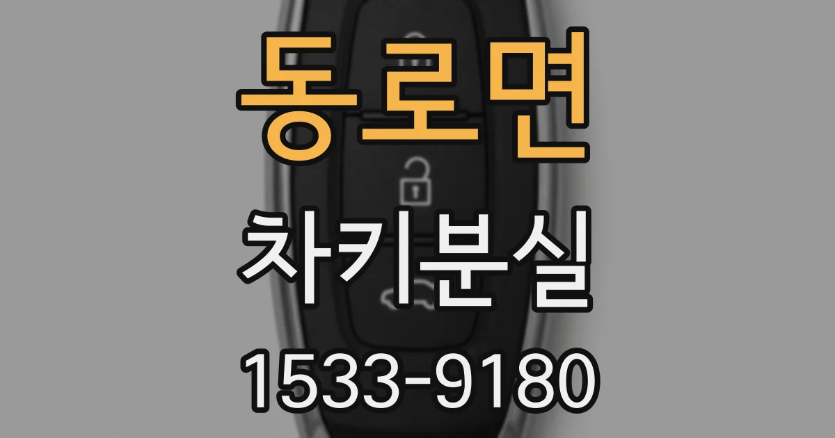 동로면 차키분실
