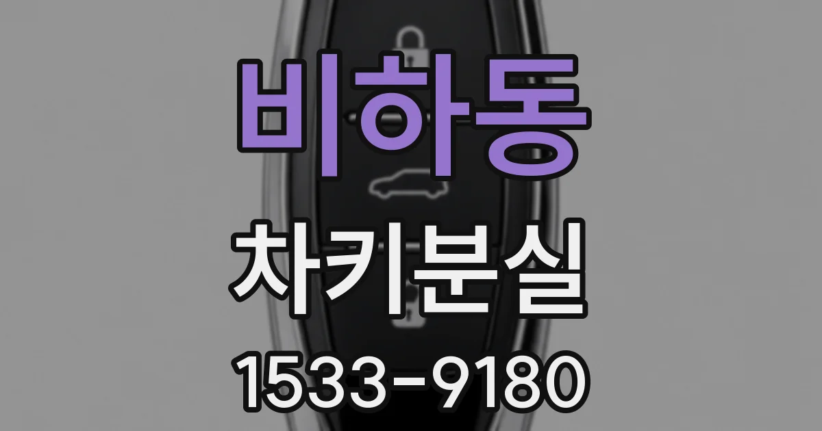 비하동 차키분실