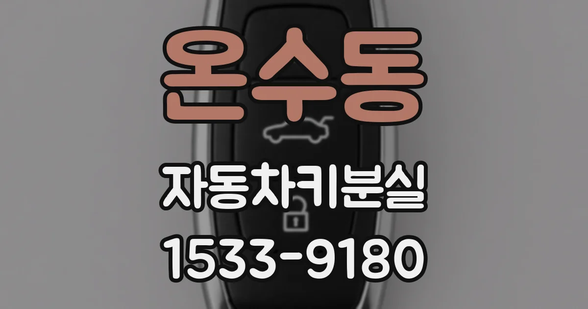 온수동 자동차키분실