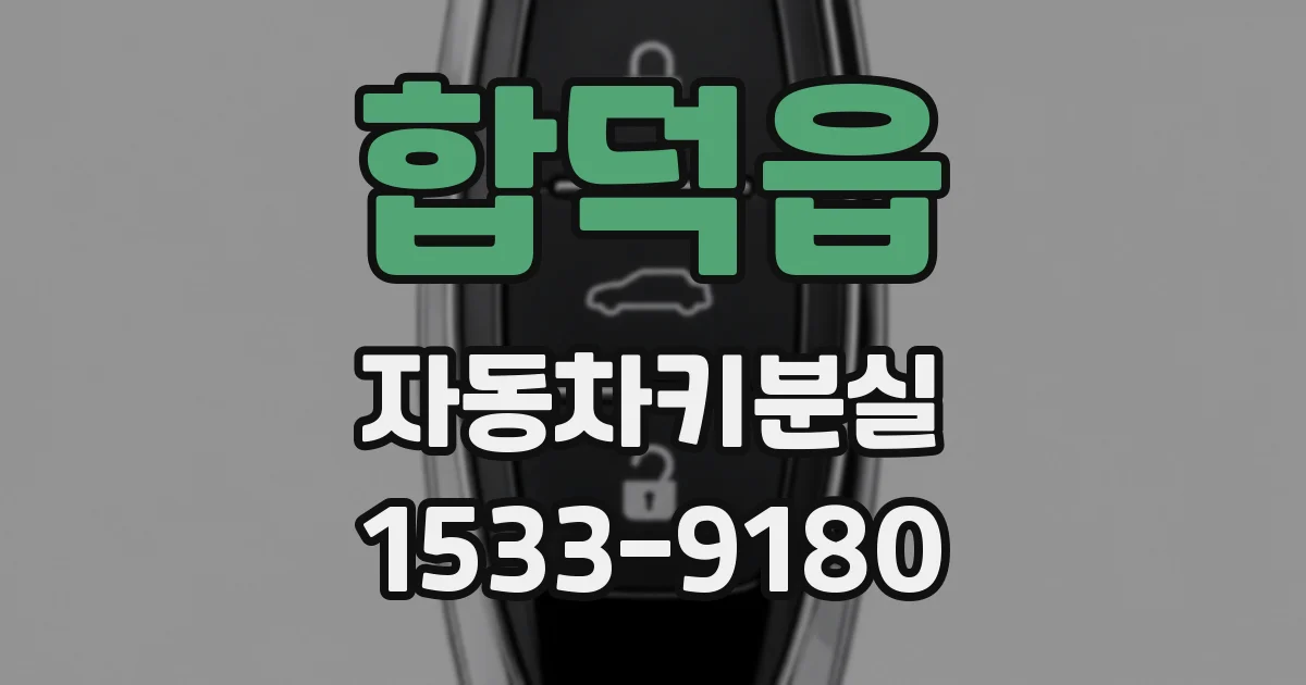 합덕읍 자동차키분실