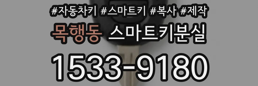 목행동 스마트키분실