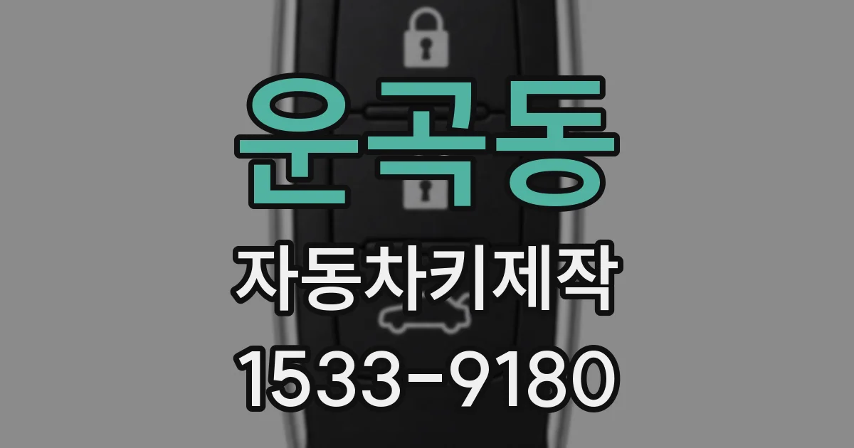 운곡동 자동차키제작