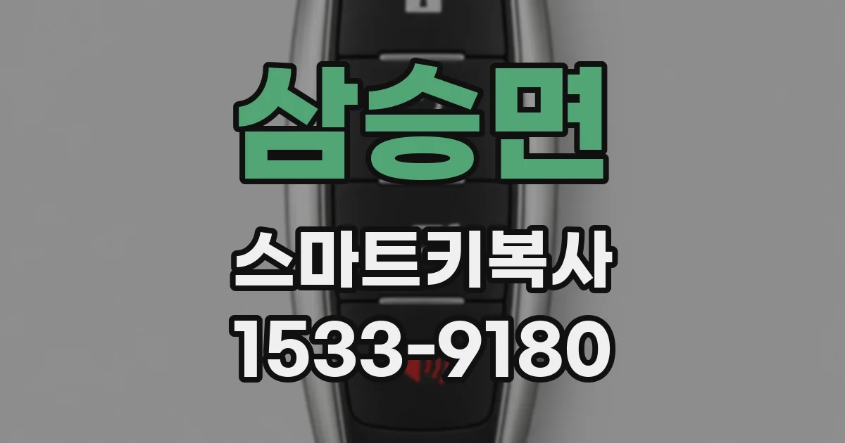 삼승면 스마트키복사