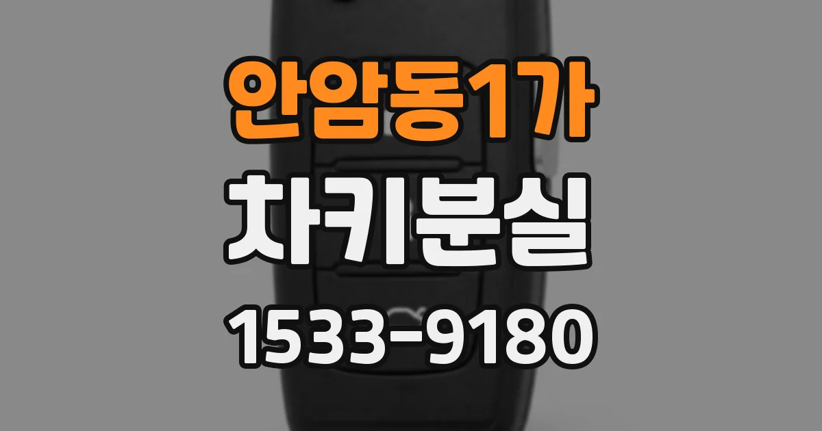 안암동1가 차키분실