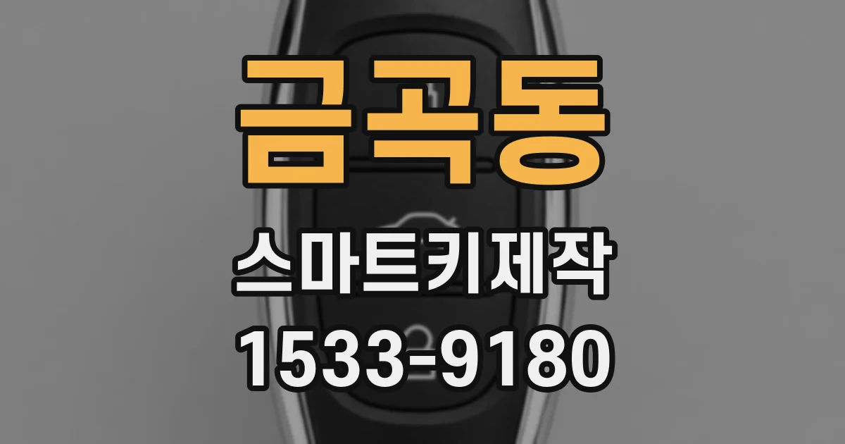 금곡동 스마트키제작