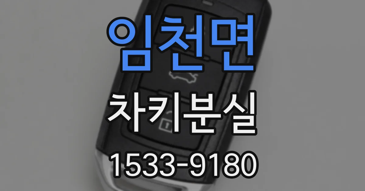 임천면 차키분실