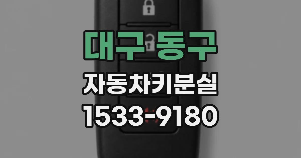 대구 동구 자동차키분실