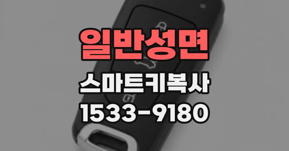 일반성면 스마트키복사