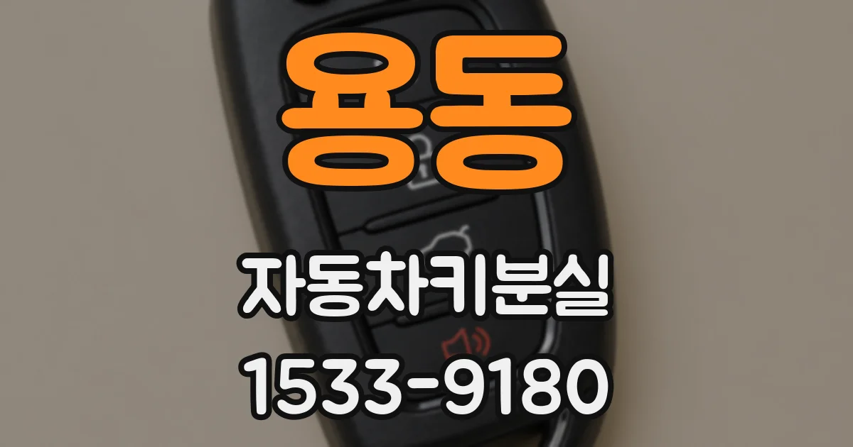 용동 자동차키분실