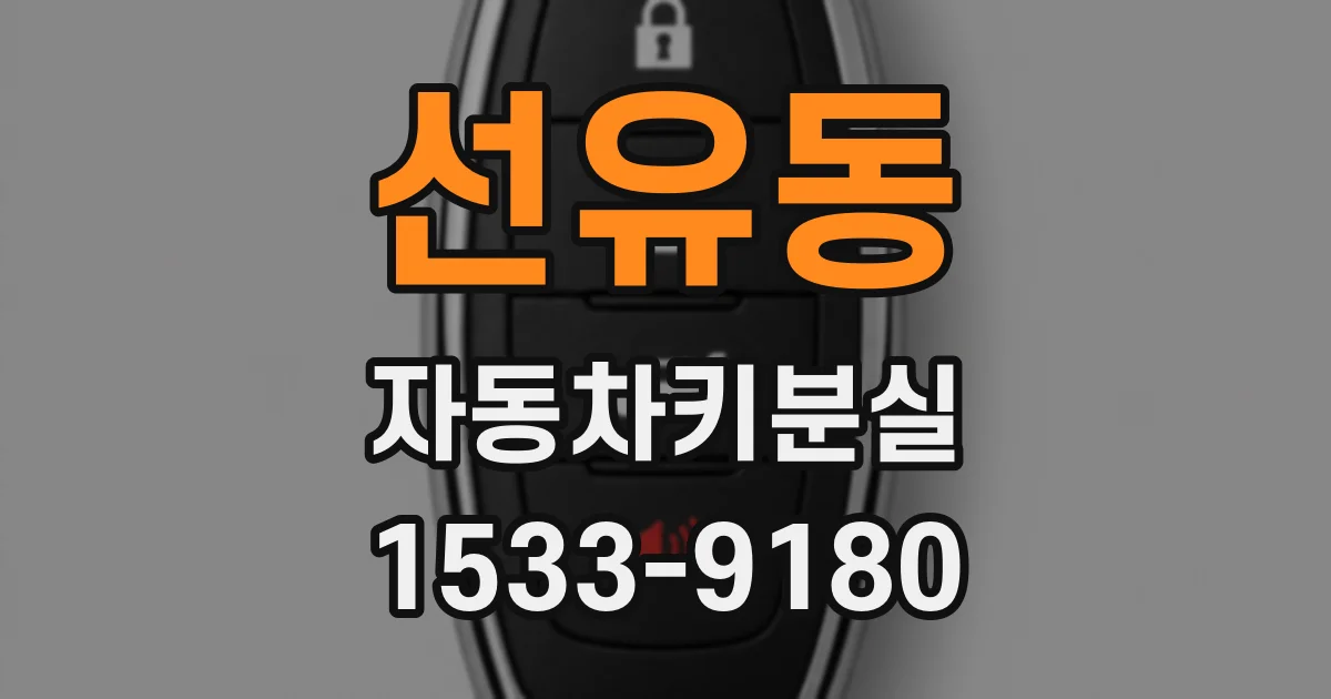 선유동 자동차키분실