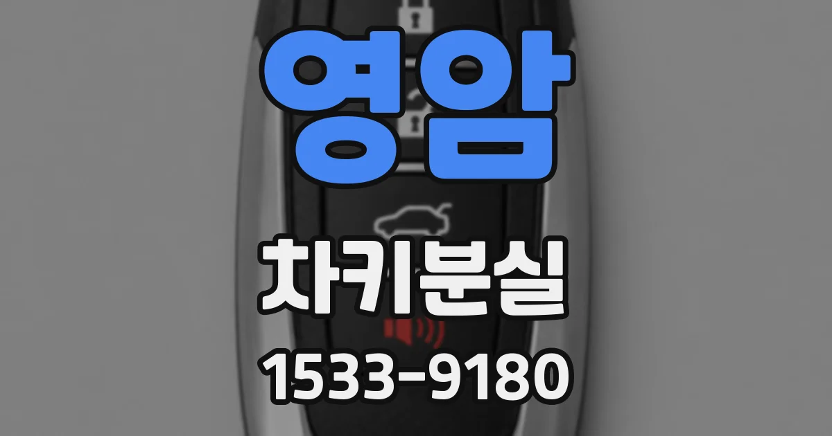 영암 차키분실