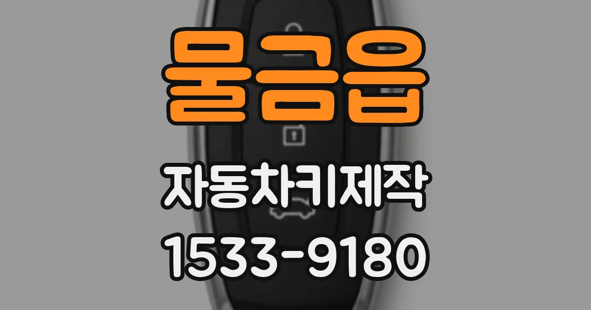 물금읍 자동차키제작