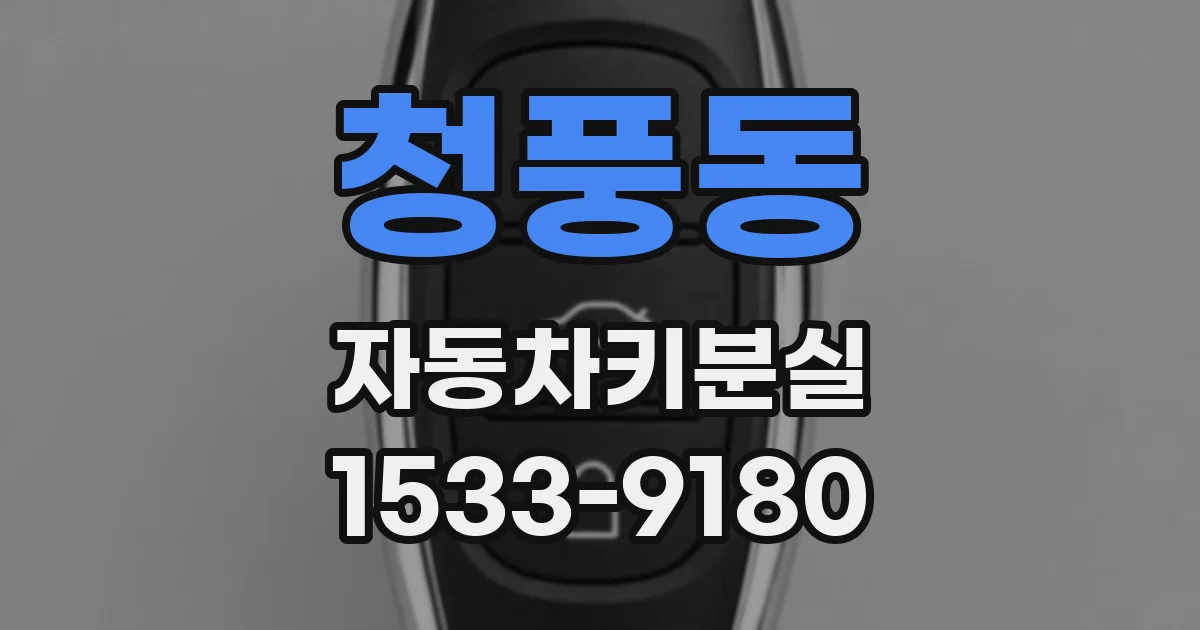 청풍동 자동차키분실