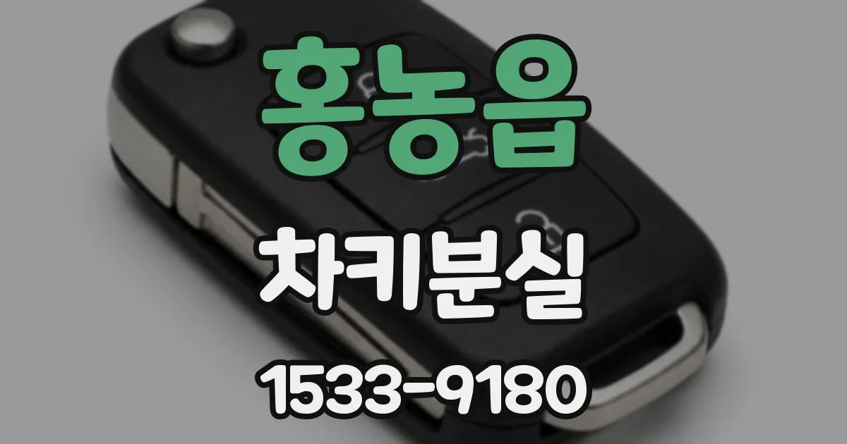 홍농읍 차키분실