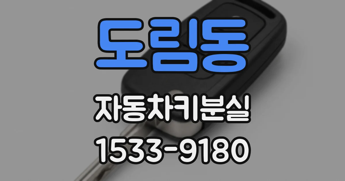 도림동 자동차키분실
