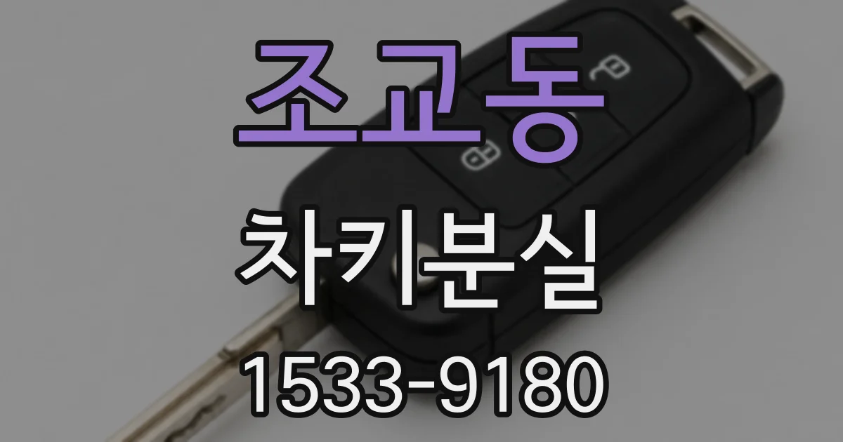 조교동 차키분실