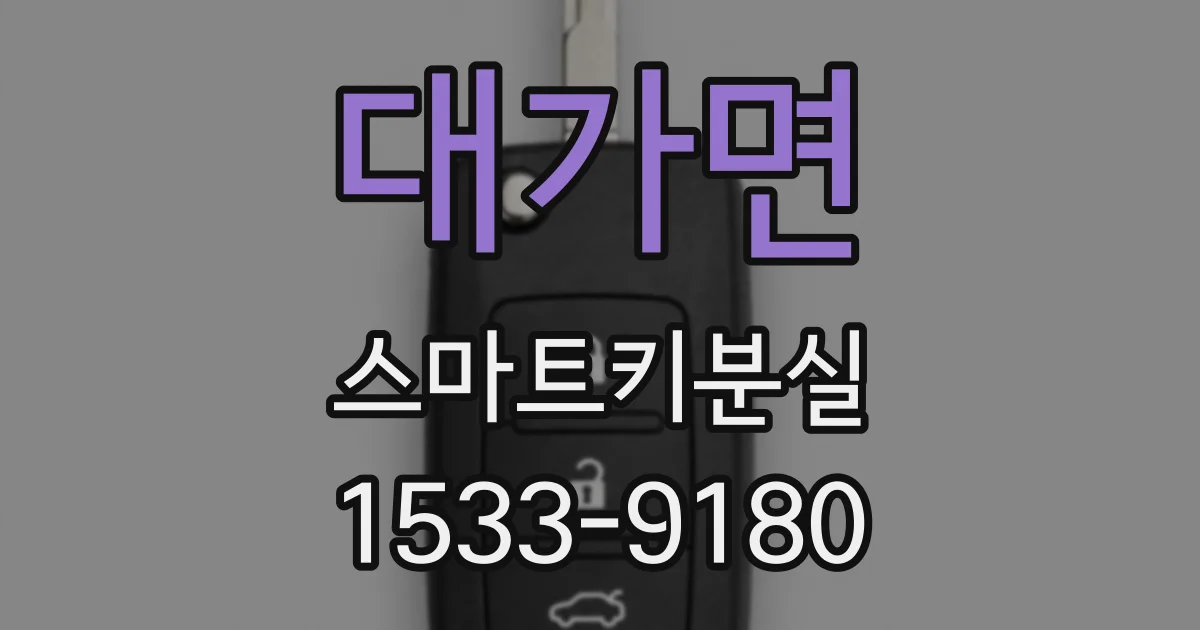 대가면 스마트키분실