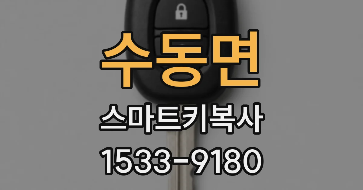 수동면 스마트키복사