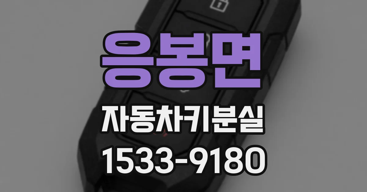 응봉면 자동차키분실