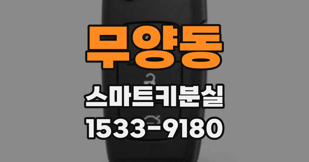 무양동 스마트키분실