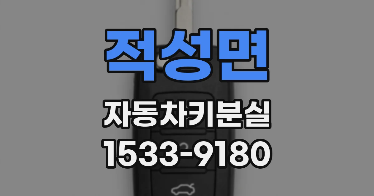 적성면 자동차키분실