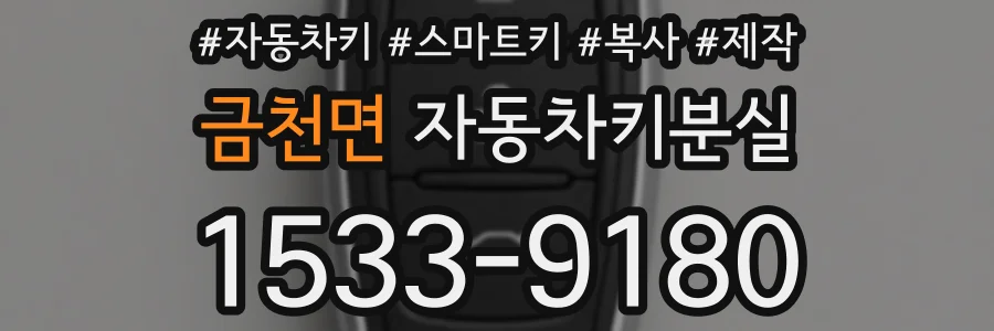 금천면 자동차키분실