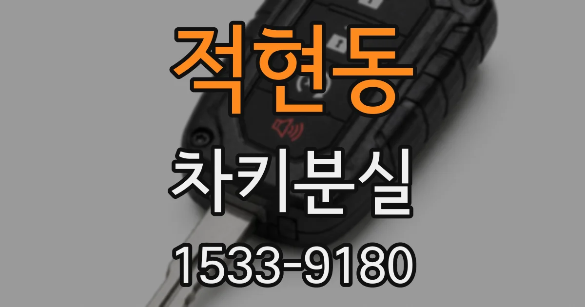 적현동 차키분실